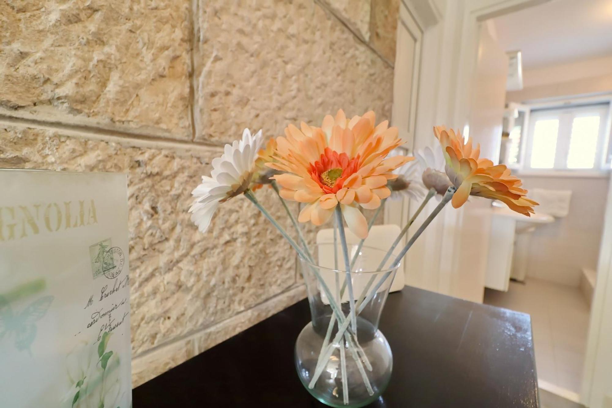 Villa Ivana Zrnovo ภายนอก รูปภาพ